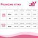 Еротичний комплект JSY &laquo;Нескромна Іда&raquo; One Size, топ, гартери, пестис, стрінги SO9239 фото 5